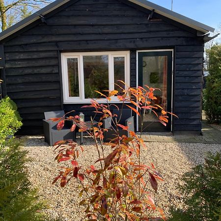 Veluwse Bos En Heide Studio Otterlo Esterno foto