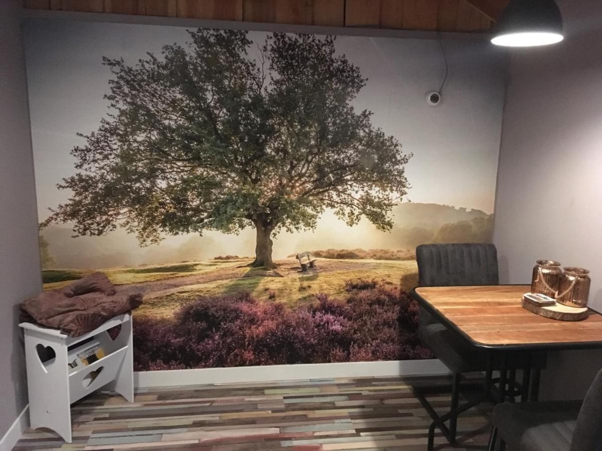 Veluwse Bos En Heide Studio Otterlo Esterno foto