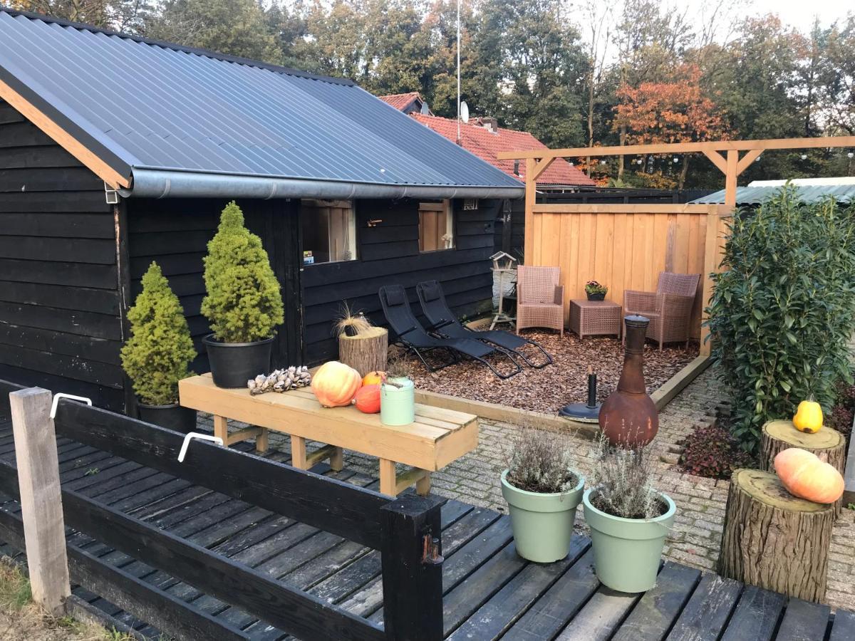 Veluwse Bos En Heide Studio Otterlo Esterno foto